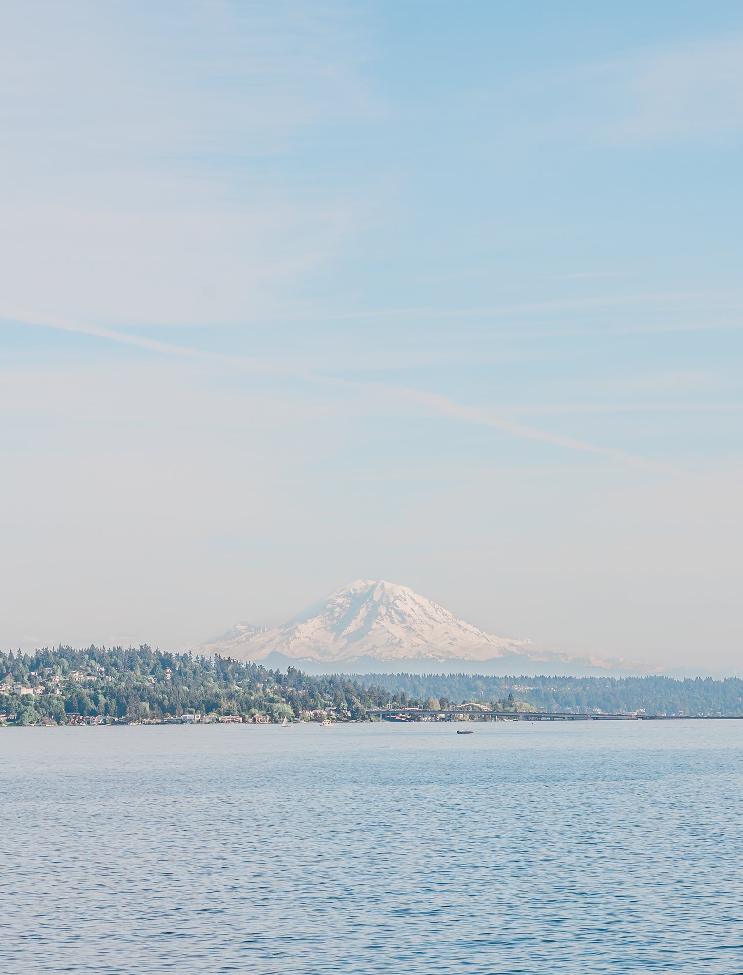 Coastal_Grandma_Ascetic_Wedding_at_the_Seattle_Tennis_Club1-5